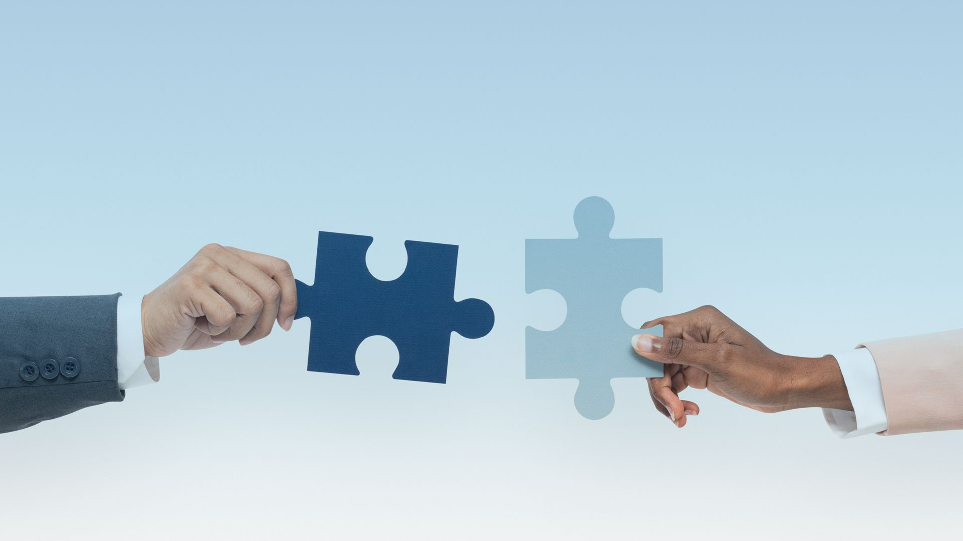 partners